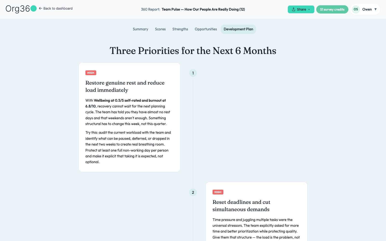 Report Development Plan tab with a prioritized six-month timeline