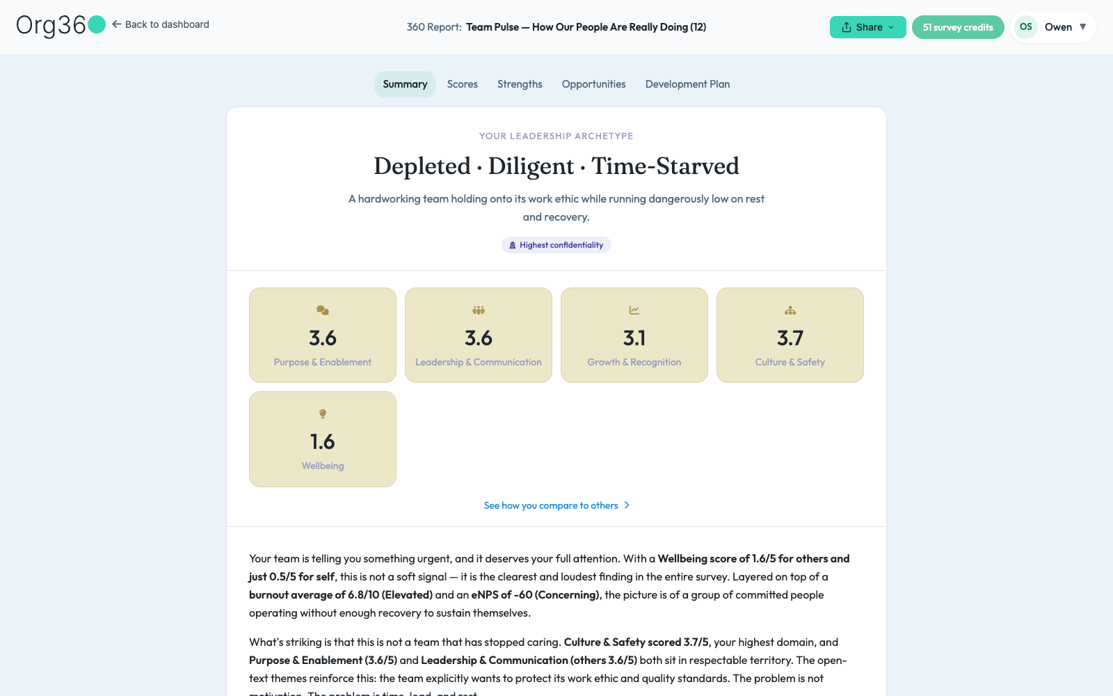 Report Summary tab with a leadership archetype headline and domain score tiles